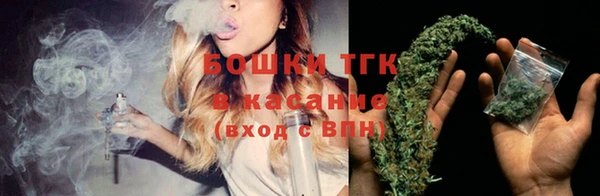 индика Сосновка