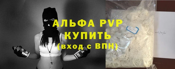 сатива Сясьстрой