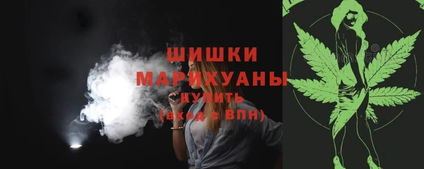 индика Сосновка