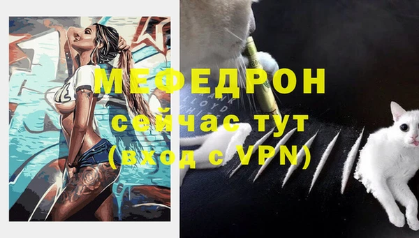 соль ск Сосновый Бор