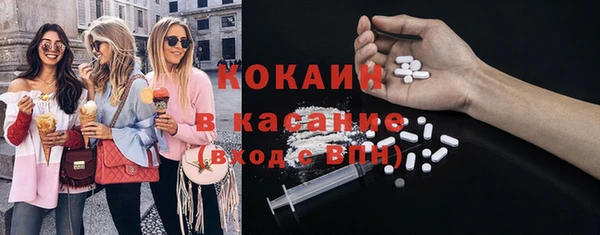 индика Сосновка