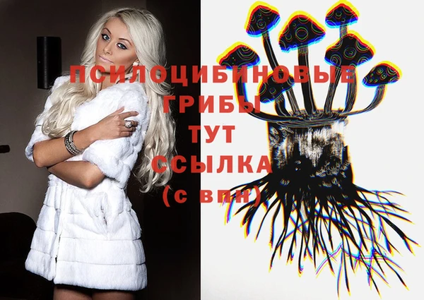 соль ск Сосновый Бор